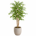 Albero artificiale di ficus 180 cm con vaso in cemento grigio per interni