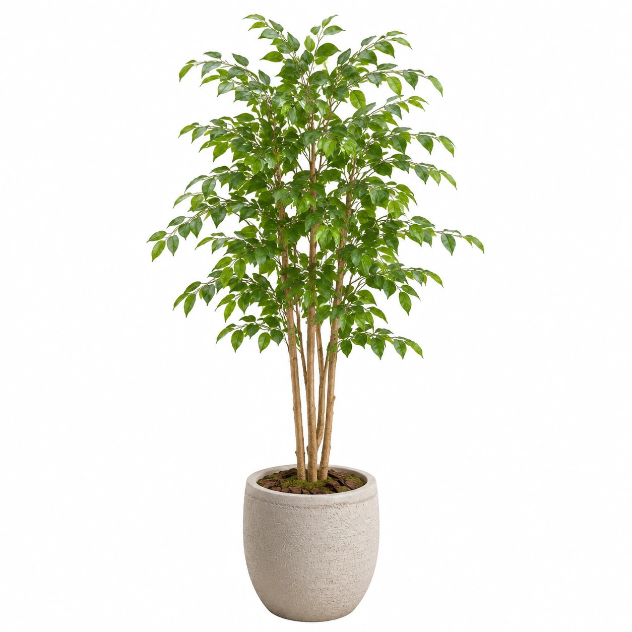 Albero artificiale di ficus 180 cm con vaso in cemento grigio per interni