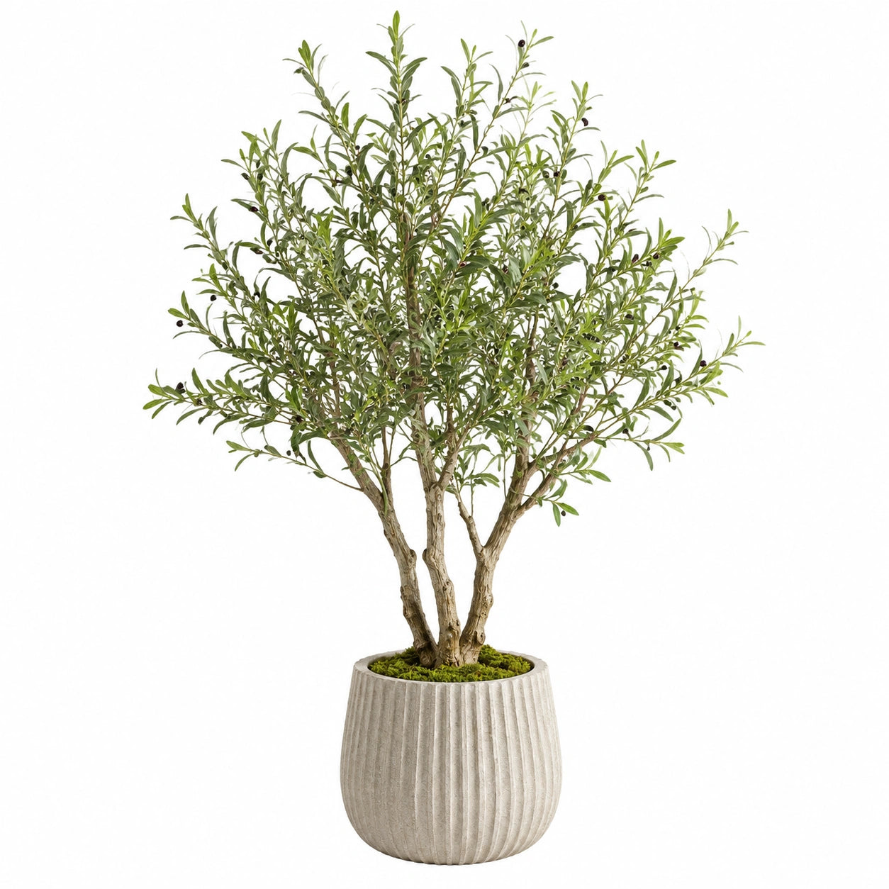Albero artificiale di ulivo 180 cm con vaso in cemento grigio per interni stile naturale