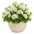 Pianta artificiale di geranio 45 cm bianco con vaso in ceramica per interni