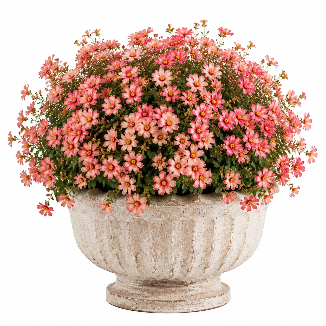 Pianta artificiale in vaso 48 cm fiori rosa in materiale sintetico decorativa