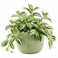Pianta verde artificiale 55 cm in plastica verde e bianco con vaso in ceramica decorativo