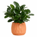 Pianta verde artificiale in vaso 75 cm - foglie verdi in plastica per interni
