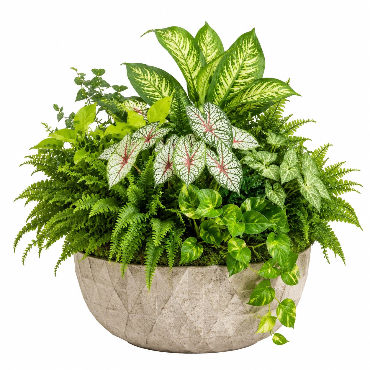 Pianta artificiale mista 75 cm in plastica verde con vaso effetto pietra decorativo